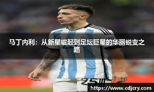 马丁内利：从新星崛起到足坛巨星的华丽蜕变之路