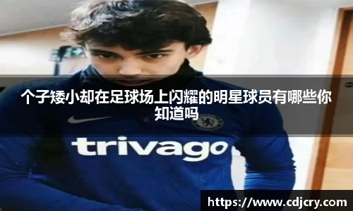 个子矮小却在足球场上闪耀的明星球员有哪些你知道吗