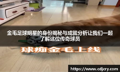 金毛足球明星的身份揭秘与成就分析让我们一起了解这位传奇球员